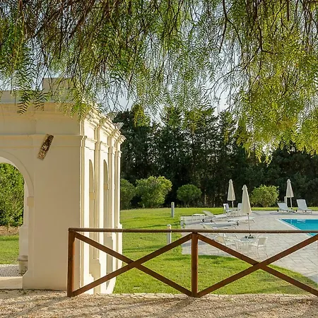 Calandrino 4* شاكا